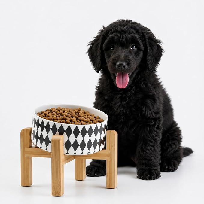 Petygooing Elevated/Raised 15°Slanted Ceramic Dog Bowl for Small and Medium Breeds, Tilted Anti Slip Pet Bowl,Food Water Dish with Stand for Cats and Dogs (28 OZ/3.6 Cups) Black Rhombus by PetygooingforYOURLOVEDPET