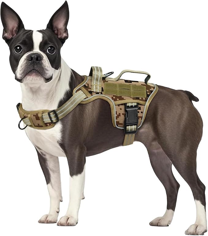 Dog Harness, Tactical No Pull for Small Sized Dog with Handle | Breathable Soft Padded, Adjustable, Reflective, Molle System, Heavy Duty, No Choke for Walking Training, Desert Camo Small by Runfido