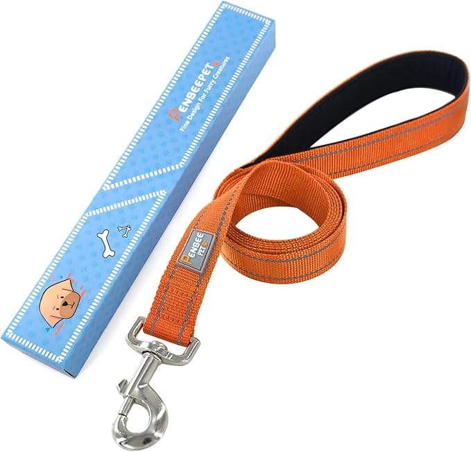 6 FT Basic Dog Leash for Medium Dogs,Orange | Padded Handle,Metal D-Ring,Heavy Duty Nylon Webbing, for Walking & Training - Image 6