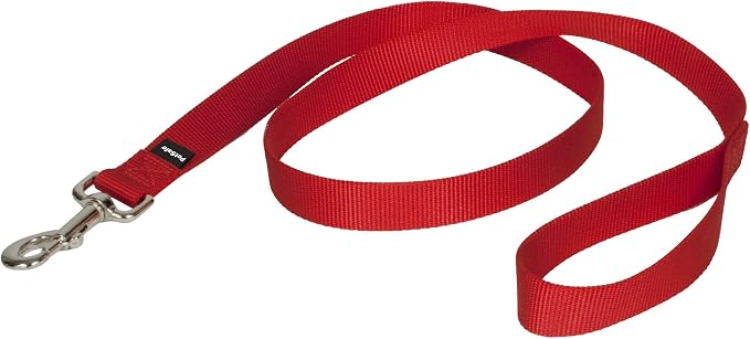 PetSafe Nylon Dog Leash - Strong, Durable, Traditional Style Leash with Easy to Use Bolt Snap - 1 in. x 4 ft., Red | Durable Nylon Leash with Easy on/off Bolt Snap Hook, Pairs Perfectly with Easy Walk Harness and Gentle Leader Headcollar by PetSafe