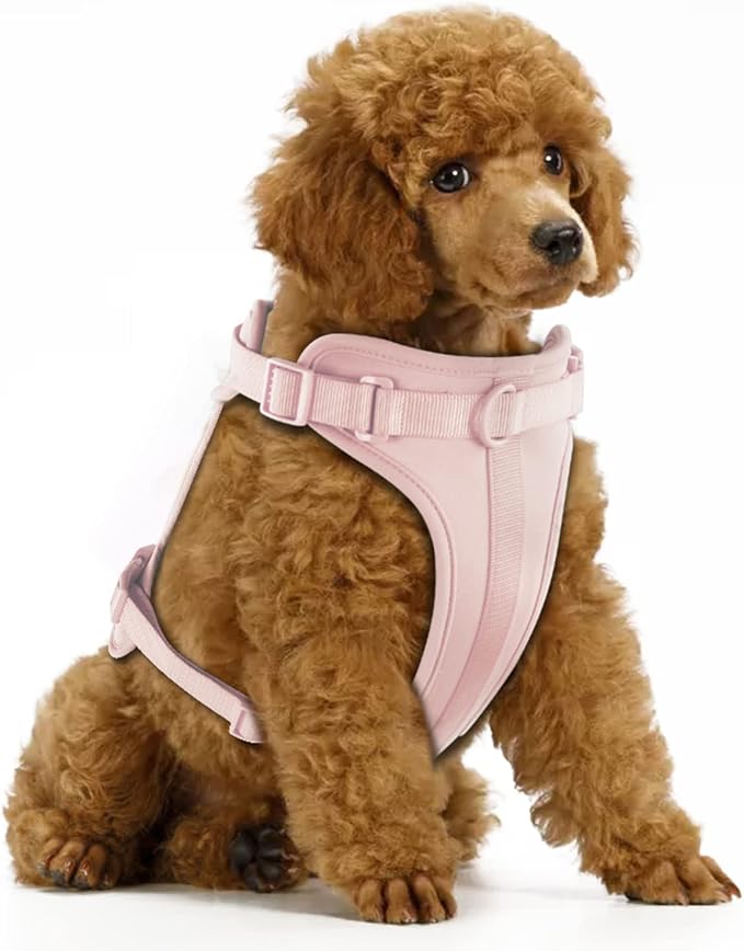Wisedog Lightweight No Pull Dog Harness, Gossamer Pink, X-Small | Air Mesh, 3 Clips, Adjustable, No Choke Design, Ideal for Walking Training by WisedogPetSupplies