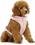 Wisedog No Pull Dog Harness, Gossamer Pink, Small | Lightweight, Adjustable Breathable Pet Vest, Soft & Comfortable Cushion, Small Medium Large Dogs by WisedogPetSupplies