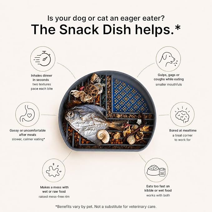 Snack Dish Slow Feeder Bowl for Dogs & Cats – Dual Pattern Design with Treat Corner, Mess-Free Feeding, Dishwasher Safe | Kubi Pets | (Gray) - Image 3