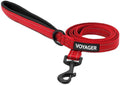 Best Pet Supplies Voyager Nylon Dog Leash - Red, Medium | 5ft in Length, 3/4" in Width, Reflective, Soft Neoprene Handle, Heavy Duty Metal Clips for Running, Walking & Training by BestPetSuppliesLLC