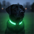 Tractive LED Light Up Dog Collar USB Rechargeable Waterproof (Green) by Tractive