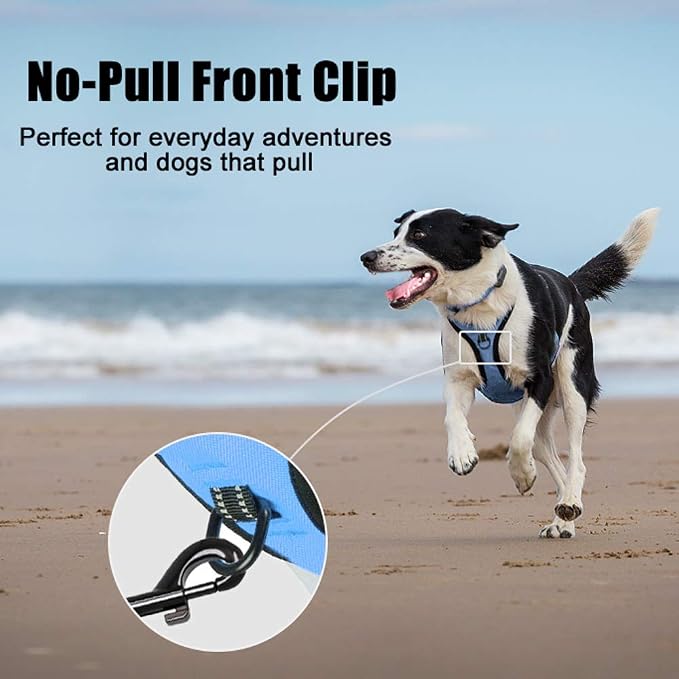 PoyPet No Pull Dog Harness Medium, Reflective Vest with Front Clip & Handle | Easy On/Off, No Choke, Adjustable, 2 Leash D-rings, Soft Padded, Breathable, Oxford, for Walking Training, M, Light Blue - Image 2