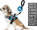 Service Dog Vest Harness and Leash Set, Animire in Training Dog Harness with 10 Dog Patches, Reflective Dog Leash with Soft Padded Handle for Dogs (Light Blue,Xs) by Animire