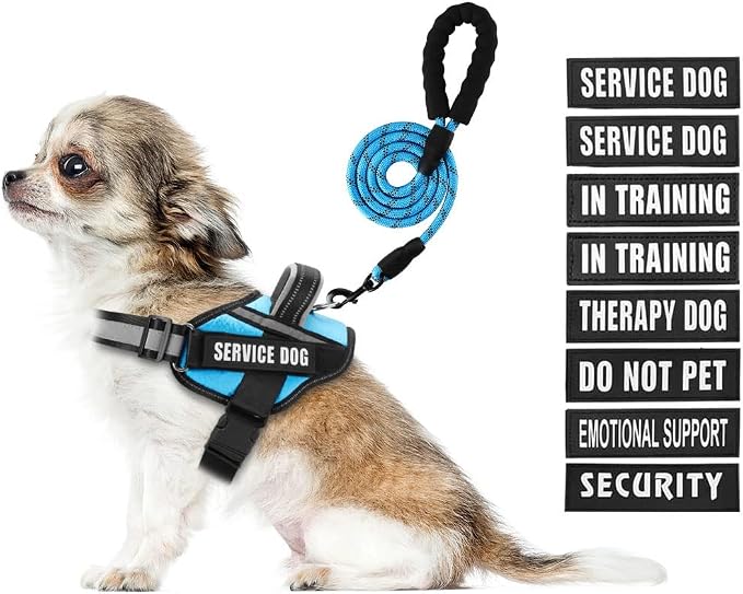 Service Dog Vest Harness and Leash Set, Animire in Training Dog Harness with 10 Dog Patches, Reflective Dog Leash with Soft Padded Handle for Dogs (Light Blue,Xs) by Animire