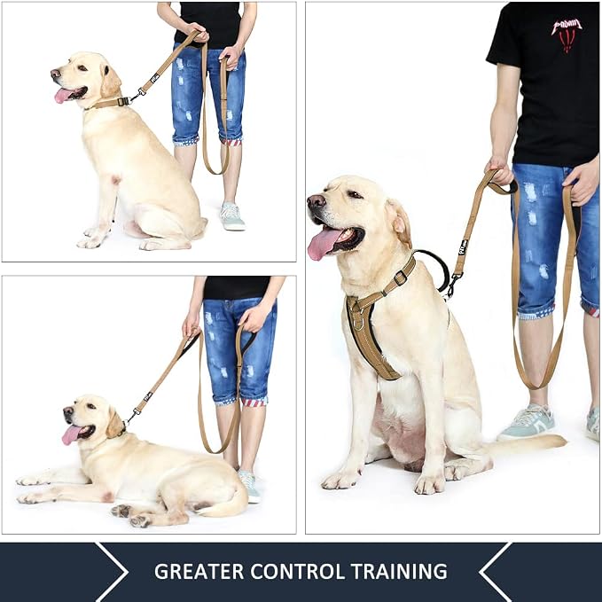 Plutus Pet Double Handle Dog Leash, 5 FT Long, for Medium Large Dogs | Reflective Nylon, Soft Padded 2 Handles, Heavy Duty for Training, Dual Handle Lead, 5 FT x 1”, Brown - Image 5
