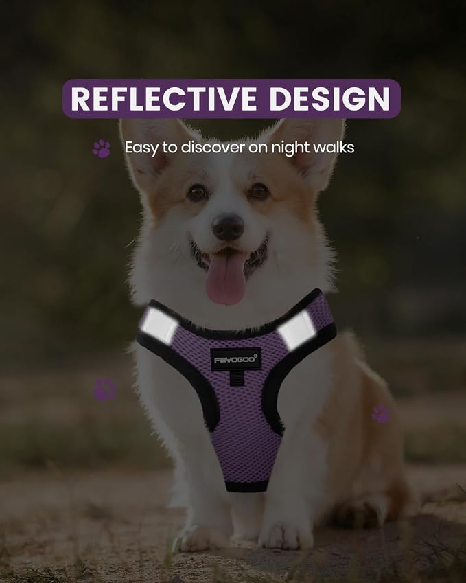FAYOGOO Service Dog Vest Set for Small Dogs, Mesh Harness and Leash | Lightweight step-in vest with leash and removable identification patches; measure neck and chest before choosing a size - Image 4