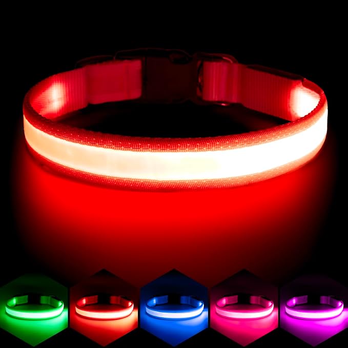 Vizpet LED Dog Collar, Light Up Dog Collar Adjustable USB Rechargeable Super Bright Safety Light Glowing Collars for Dogs(Large,Red) by VIZPET