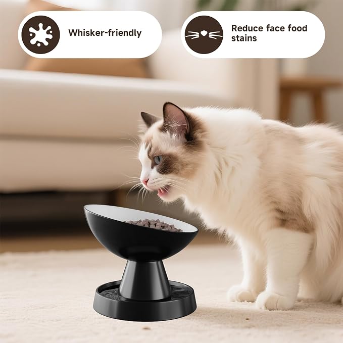 Raised Cat Food Bowl, Ceramic 15° Tilted Cat Bowl(Black) | Ant-Proof Design, for Whisker & Neck Fatigue, Protect Pet's Spine, Titled Anti-Vomiting Cat Dish, All Life Stage - Image 7