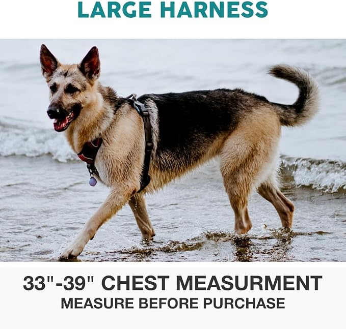 Embark No Pull Dog Harness, Reflective Adjustable Training Vest, No Choke | Adjustable straps fit all dog breeds with sturdy hooks; 360° reflective trim, soft padded Harness Design for All Dogs - Image 3