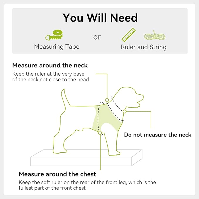 Joytale Step-in Dog Harness, Soft Breathable Mesh, Green XL | Adjustable Fit for Small Dogs, Easy Step-in with Secure Fastener, Even Chest Pressure, Reflective For Night Safety, Washable - Image 7