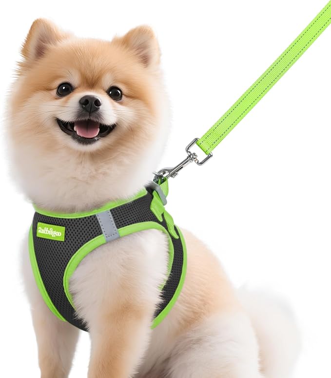 rabbitgoo Dog Harness Small Sized and Leash Set, Step in Soft Vest | Breathable Mesh, Easy Wear with Hook & Loop, Light and Reflective for Walking, Multi-colored, Black & Green, M by rabbitgoo