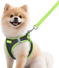 rabbitgoo Dog Harness Small Sized and Leash Set, Step in Soft Vest | Breathable Mesh, Easy Wear with Hook & Loop, Light and Reflective for Walking, Multi-colored, Black & Green, M by rabbitgoo