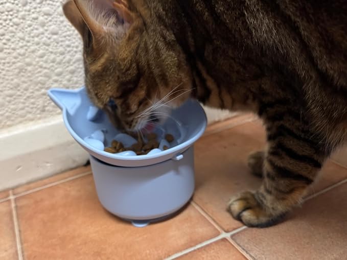 Elevated Cat Bowl, Silicone Dog Bowls for Food and Water, Wide Shallow Cat Food Dish, Whisker Fatigue, Lead & Cadmium Free, Great Height for Pet(Green) - Image 7