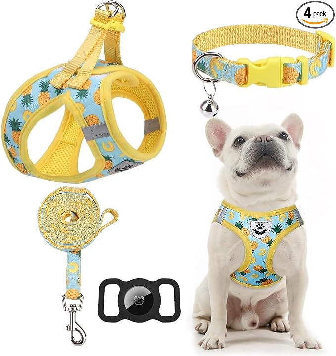 Small Dog Harness and Leash Set - Cute Puppy Harness Leash Dog Collar with AirTag Holder Silicone Case, Soft Padded Step in Pet Vest Reflective for Outdoor Walking, Pineapple XS by EXPAWLORER