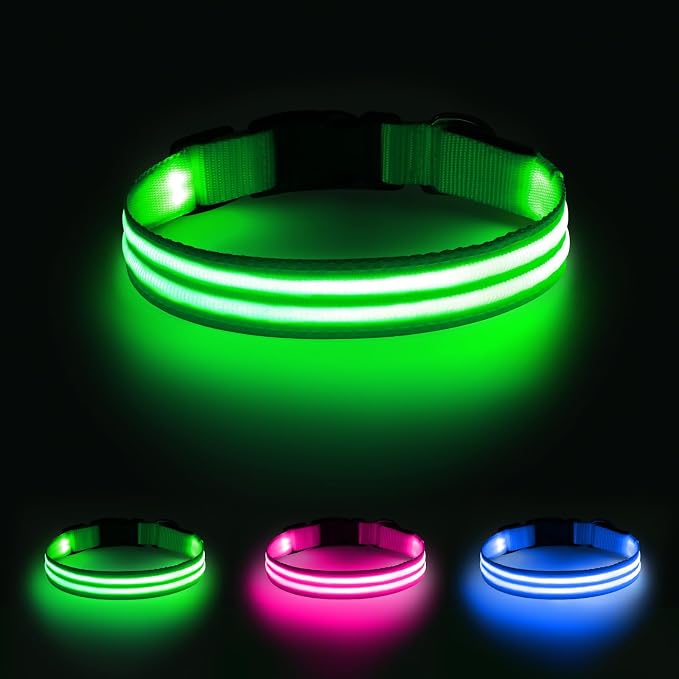 Illumifun LED Dog Collar, USB Rechargeable Light Up Collars, Adjustable Lighted Glow Dark Collar Light for Your Small Dogs Night Walking (Green, Small) by Illumifun