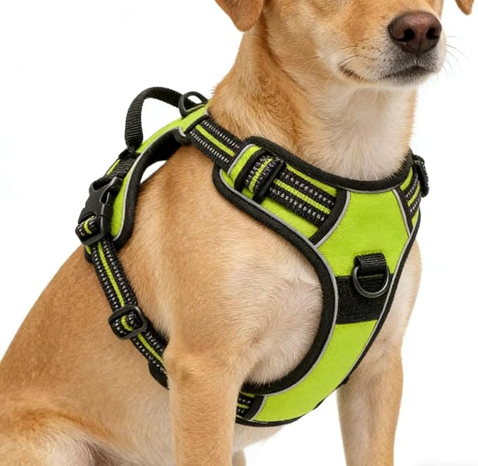 No-Pull Dog Harness with Soft Padded, Adjustable Reflective Vest Green XL | 2 Leash Clips Easy to Put on and Take Off Neck: 18"~26", Chest: 25"~34" - Image 4