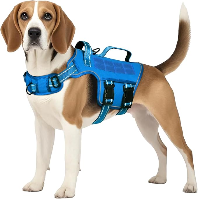Dog Harness Medium Sized Dog, No Pull Dog Vest with Molle System | Tactical, Easy Control With Handle, Breathable Soft Padded, Adjustable, Reflective, No Choke for Walking, Blue Medium by Runfido