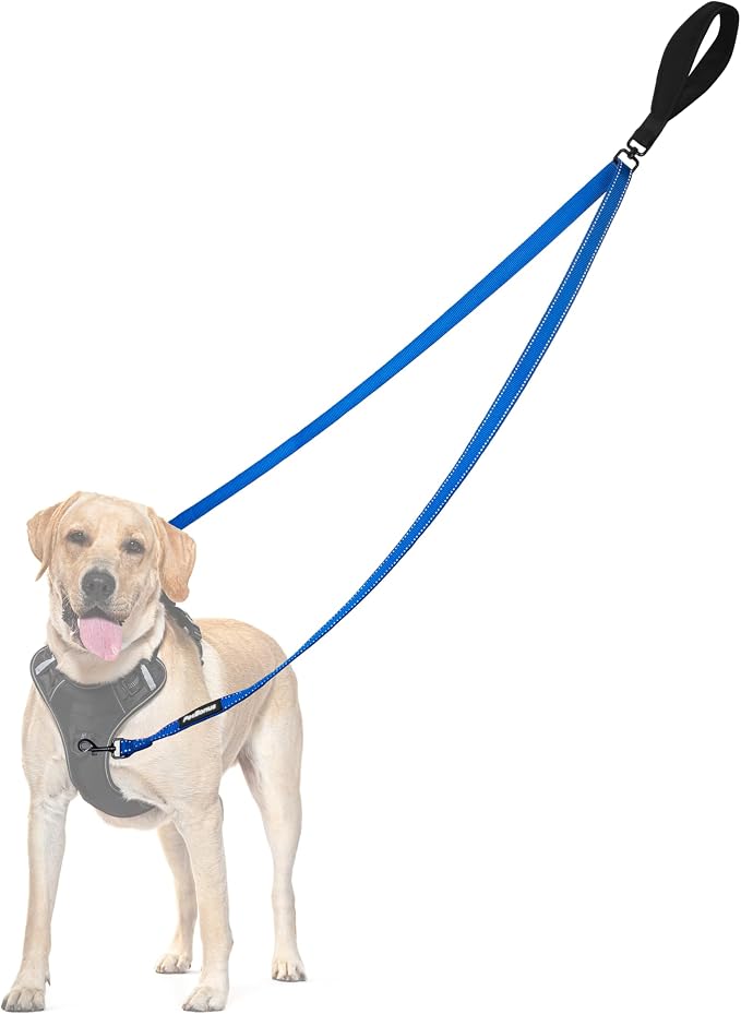 PetBonus Two Point Control Dog Leash, No Tangle Training Walking Leashes | Soft Padded Handle, Reflective, Works with No Pull Harnesses, Converts to Single Lead for Medium Large Dogs, Blue by Petbonus