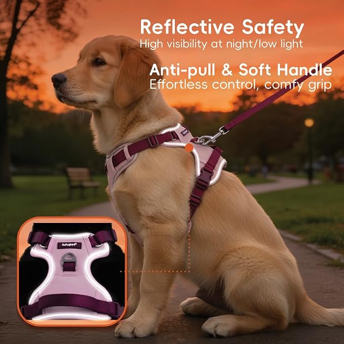 Dog Harness and Leash Set with Collar, No Pull Reflective Pet Vest Harness with Control Handle for Medium Large Dogs Walking and Training - Image 4