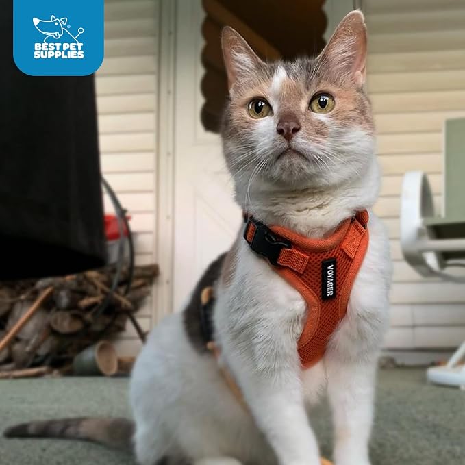 Voyager Step-in Lock Dog Harness - Orange, X-Small | 13 - 16" in Chest, Adjustable, Breathable Air Mesh, Lightweight for Daily Walks, Strong Clips, Heavy Duty D-Ring - Image 10