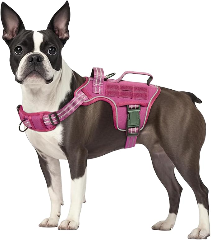 Dog Harness, Tactical No Pull for Small Sized Dog with Handle | Breathable Soft Padded, Adjustable, Reflective, Molle System, Heavy Duty, No Choke for Walking Training, Pink Small by Runfido