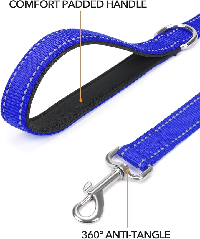 Taglory Reflective Dog Leash for Small Dogs, 3/4in x 4ft, Navy Blue | Ideal for Night Walking, Strong for Sudden Pulls, Lightweight & Gentle on the Neck, Soft Padded Handle - Image 2