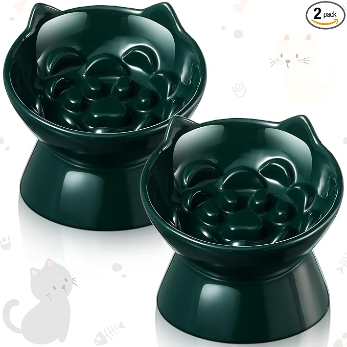 Funnymoom 2 Pcs Ceramic Raised Slow Feeder Cat Bowl, 5.91inch Elevated Cat Slow Feeder Bowl Tilted Anti Vomiting for Dry Wet Food and Water Easy to Clean High Edge(Dark Green) by Funnymoom