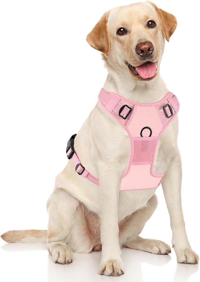 Rnivvi No Pull Dog Harness, Cute Reflective X-Large Sized Puppy Harness, Adjustable Soft Padded Vest for Large Dogs, Heavy Duty Pet Vest with Easy Control Handle for Walking Training, Pink - Image 2