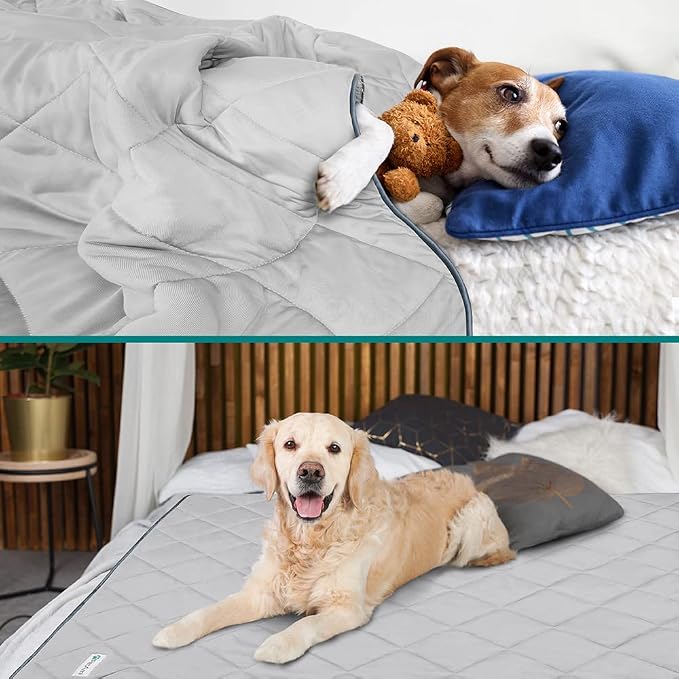 PetAmi Premium Cooling Dog Blanket | Lightweight Fluffy Pet Throw Blanket Bed Cover for Dogs, Cat, Puppies | Pet Blanket Furniture Protector Couch Sofa | Reversible Fuzzy Cozy | 29x40, Light Grey - Image 2