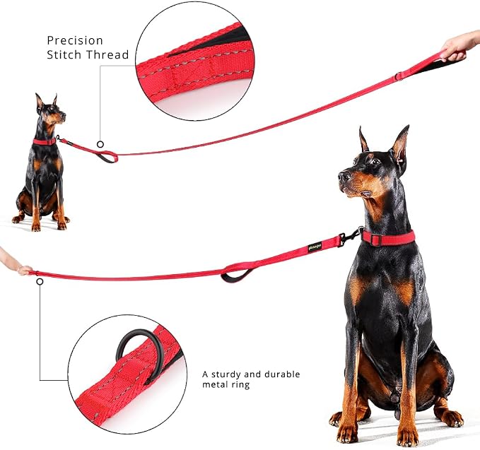 Plutus Pet Double Handle Dog Leash, 6 FT Long, for Medium Large Dogs | Reflective Nylon, Soft Padded 2 Handles, Heavy Duty for Training, Dual Handle Lead, 6 FT x 1”, Red - Image 6