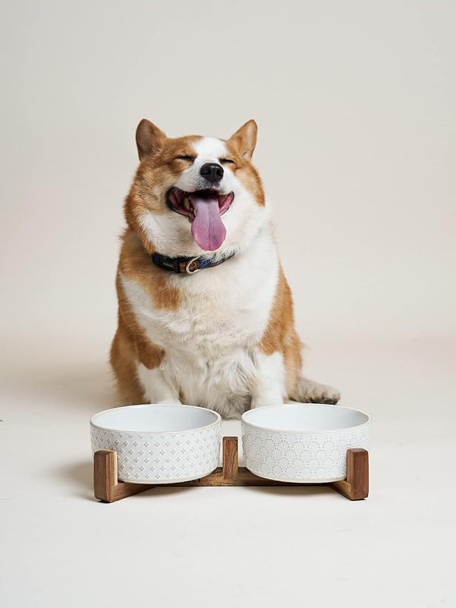 LE TAUCI Dog Bowls Ceramic for Small Medium Dogs - 4-Cup Dual Food & Water Bowl Set with Acacia Wood Stand, Non-Slip Anti-Tip Elevated Design - Image 5