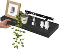 WALI Floating Shelves for Wall, 1 Tier Bathroom Storage Shelf Over Toilet, for Bedroom Bookshelf, Living Room Decor, Kitchen, Nursery, Laundry, Soundbar Floating Shelf Mount Under TV (CS101L), Black by WALI