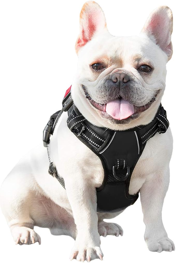 No Pull Dog Harnesses for Small Dogs Reflective Adjustable | Front Clip Vest with Handle 2 Metal Rings 3 Buckles [Easy to Put on & Take Off](XS, Black) - Image 7