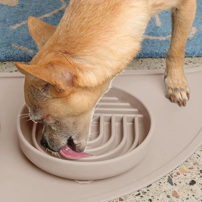 Should We Go? Slow Feeder Dog Bowls - Small Size Silicone Slow Eating Dog Bowl for Puppies & Dogs with Suction Cup -Dishwasher-Safe, Lick Mat Design, Reduces Gulping, for All Breeds, 6”x1.25”- Tan - Image 6