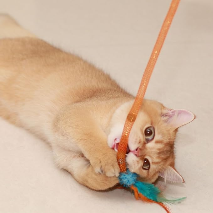 Interactive Cat Toys with Feather, Colorful, 3 Pcs | Stretchable Mesh Tubes, Bell Inside, Catnip Inside, Interactive Play String for Cats and Kittens, Cat Nip Chew Toy - Image 3