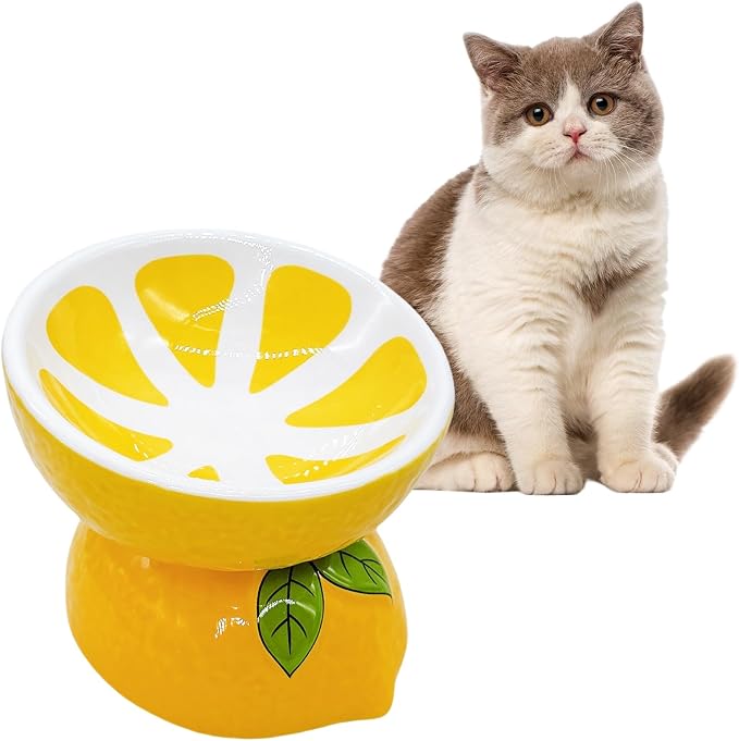 Elevated Cat Bowl Ceramic Raised Cat Food Water Bowls for Indoor Kitten | 5.2in Tilted Anti Vomiting Slow Feeder Cat Dishes, Whisker Friendly, Cute Lemon Design by Hamiledyi