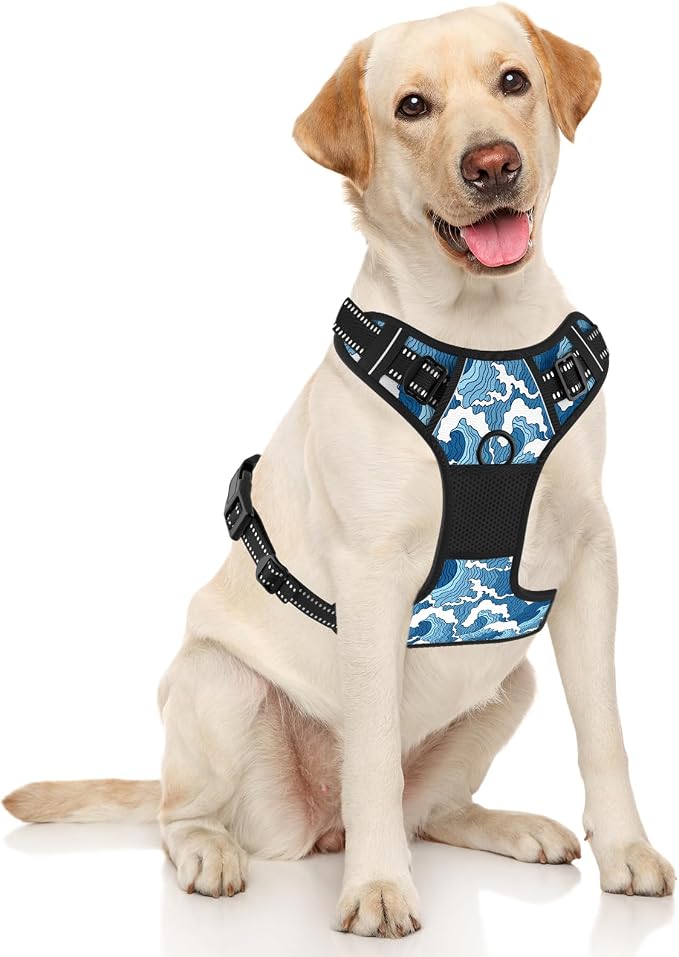 Rnivvi No Pull Dog Harness, Cute Reflective Large Sized Puppy Harness, Adjustable Soft Padded Vest for Large Dogs, Heavy Duty Pet Vest with Easy Control Handle for Walking Training, Japanese Style - Image 2