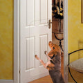 In hand Clear Pet Door Scratch Protector Shield Protect Your Furniture, Heavy Duty Deluxe Flexible Door Guard Cover by Inhand