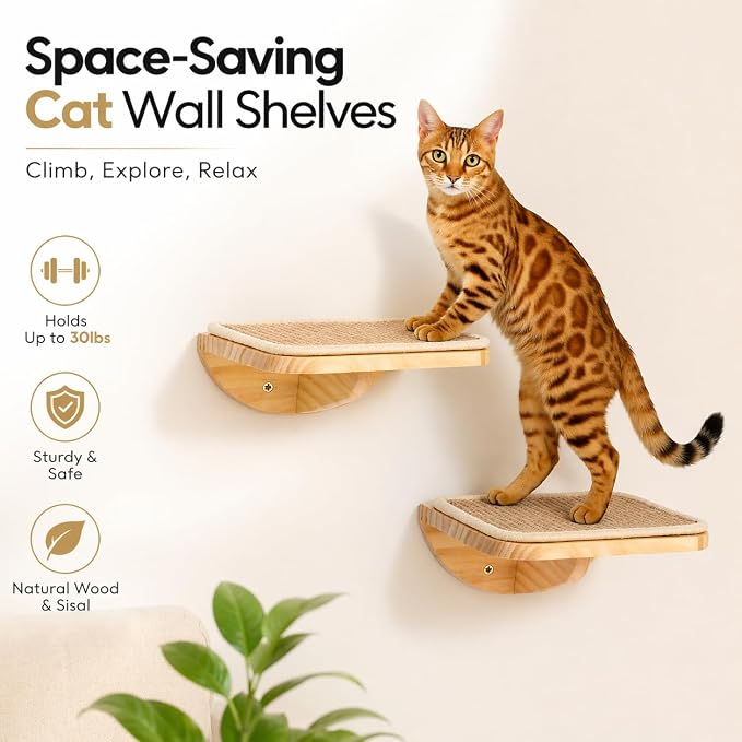 Cat Window Perches, Cat Wall Shelves with Curved Bed and 2 Sisal Mat Steps | Cat Wall Furniture with Curved Beige Bed & 2 Floating Steps for All Breeds, 3-in-1 Cat Wall Set for Climbing & Lounging - Image 8