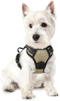 rabbitgoo Dog Harness No Pull with 2 Leash Clips, Adjustable Soft Padded, Reflective Oxford No Choke Pet Vest with Easy Control Handle for Puppy, Beige, XS | No Choke with Handle, Adjustable Soft Padded, Reflective, Easy Control for Walking, Beige, X-S... by rabbitgoo