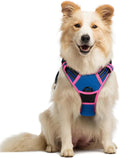 rabbitgoo Dog Harness, No Pull Medium Sized with 2 Leash Clips, Pet Vest | No Choke with Handle, Adjustable Soft Padded, Reflective, Easy Control for Walking, Blue & Hot Pink, Medium by rabbitgoo