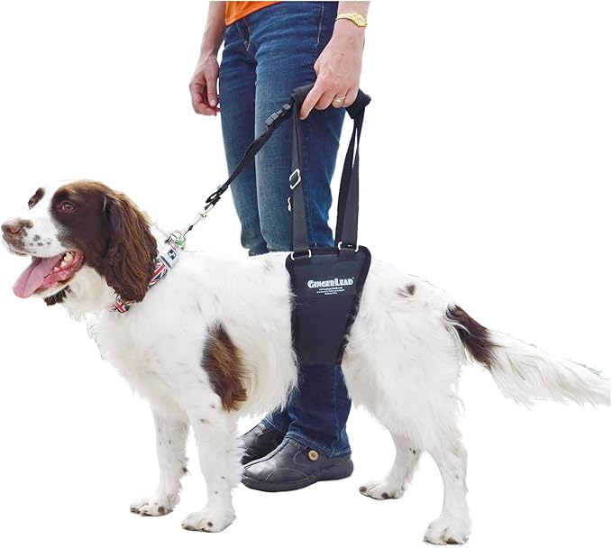 Dog Support Sling Rear Leg Harness, SM Male, Machine Wash & Dry | Fits Small to Medium Size Pets or Larger Barrel-Chested Breeds like Boxers, Bullies. Male Dachshunds use XS Size. Made in USA by GINGERLEADDogSupportSlings