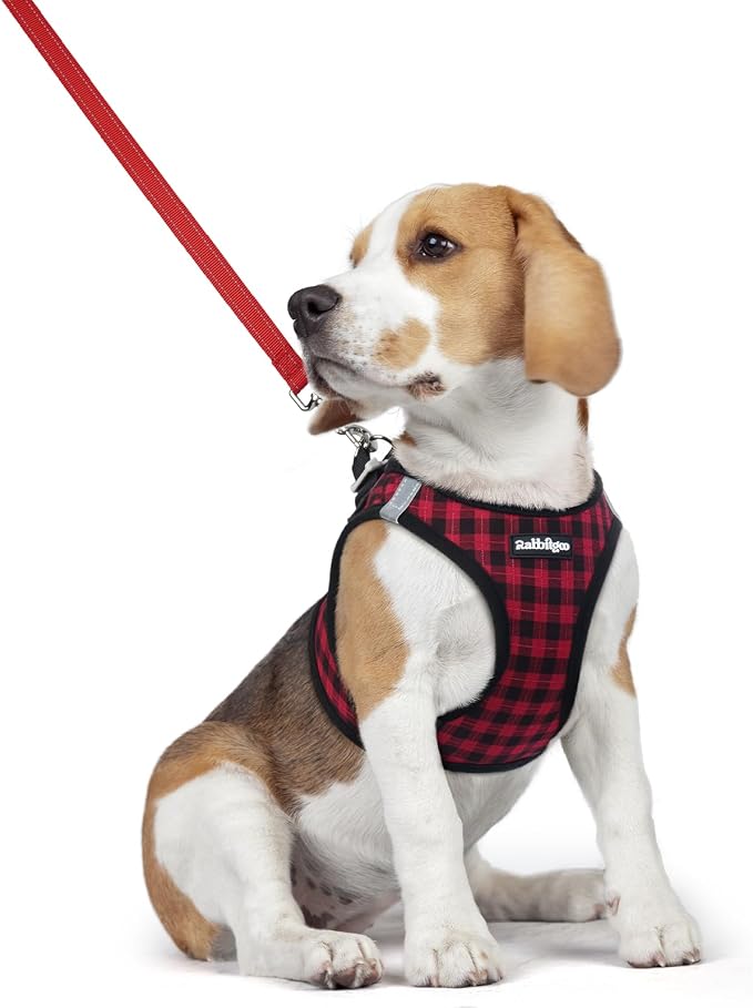 rabbitgoo Dog Harness Medium Sized and Leash Set, Step-in Puppy Pet Vest | Light, Soft, Breathable Air Mesh, Easy on and Remove with Hook & Loop, Secure Reflective for Walking, Red Check L by rabbitgoo