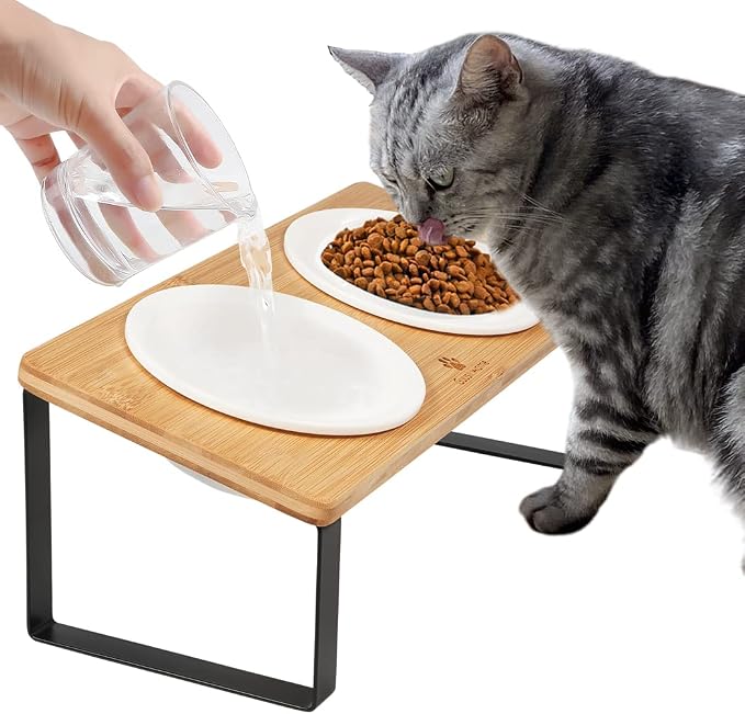 Sunhoo Ceramic Elevated Cat Bowls Raised Puppy Dishes for Food and Water Tilted Wooden Stand for Indoor Cats 5.5 inch Wide Double Dish Orthopedic Reduces Vomiting (Wood Color) by Sunhoo