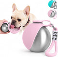 Portable Pet Dog Water Bottle with Silicone Collapsible Bowl, 10 oz Pink | Stainless Steel Pet Travel Dispenser with Rope | Dogs on Walks Hiking Accessories | Puppy Small Pets Essentials by Unknown