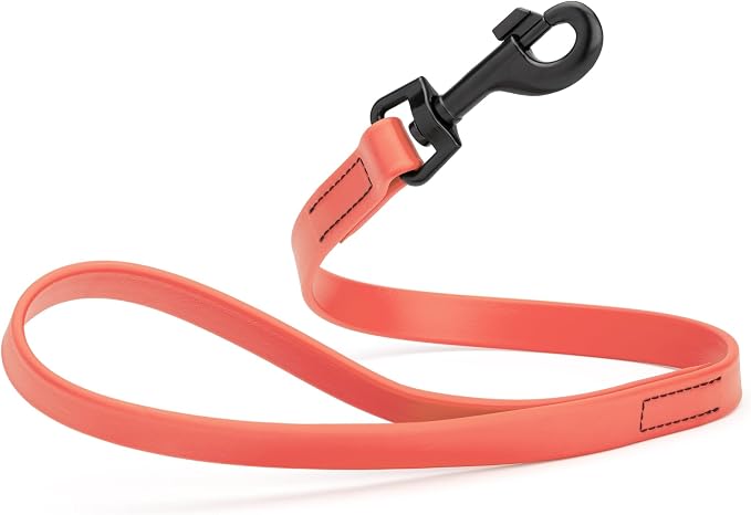 Dogline Biothane Waterproof Dog Leash Strong Coated Nylon Webbing with Black Hardware Odor-Proof Easy to Clean High Performance for Small or Large Dogs Made in USA 2 ft Lead, Coral by Dogline